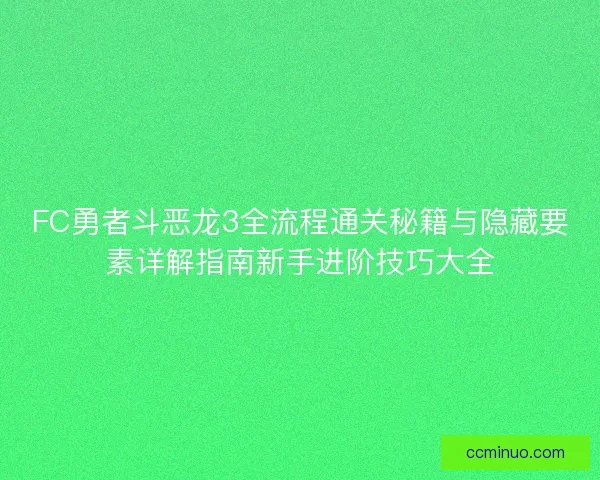 FC勇者斗恶龙3全流程通关秘籍与隐藏要素详解指南新手进阶技巧大全