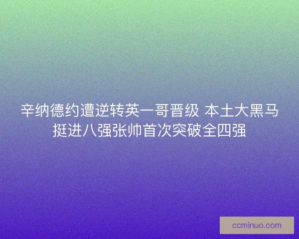 辛纳德约遭逆转英一哥晋级 本土大黑马挺进八强张帅首次突破全四强
