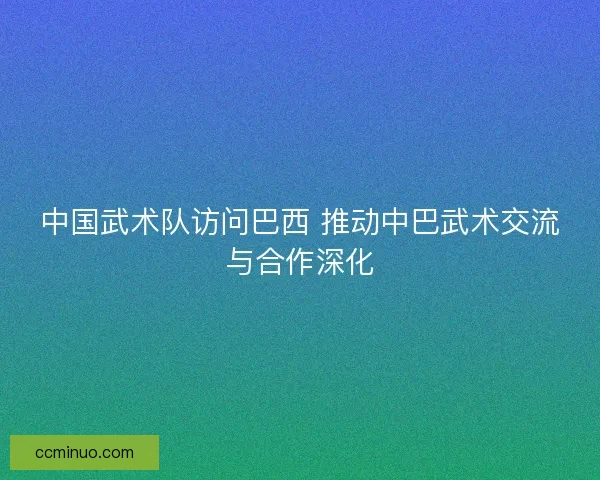 中国武术队访问巴西 推动中巴武术交流与合作深化 中国武术队访问巴西 推动中巴武术交流与合作深化