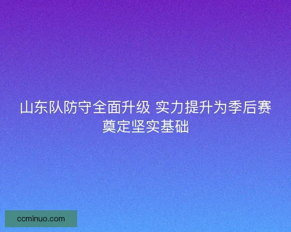 山东队防守全面升级 实力提升为季后赛奠定坚实基础